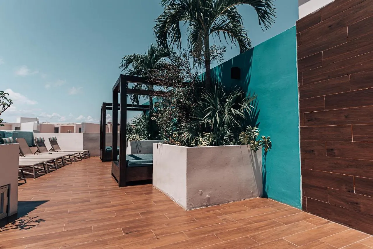 The Gallery Condos Playa De Carmen Playa del Carmen 0*,